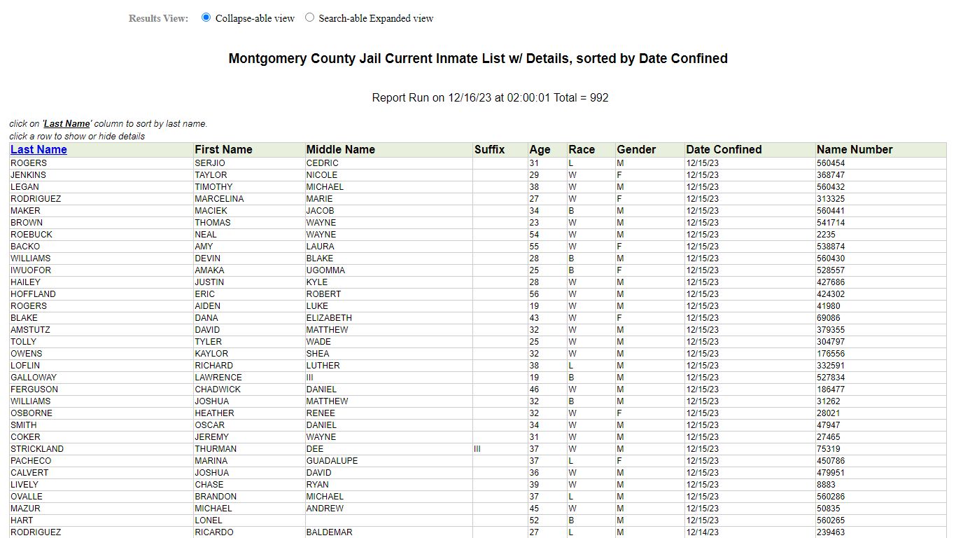 Jail Roster